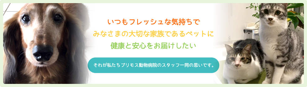 「いつもフレッシュな気持ちで、みなさまの大切な家族であるペットに健康と安心をお届けしたい」それが私たちプリモス動物病院のスタッフ一同の思いです。